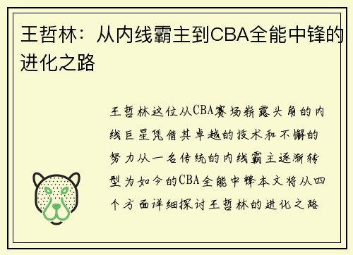 王哲林：从内线霸主到CBA全能中锋的进化之路